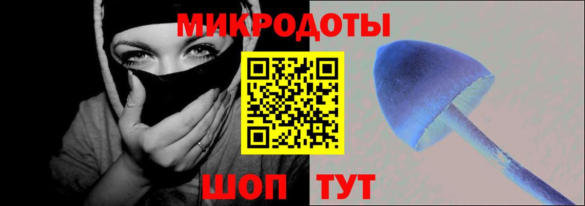 Галлюциногенные грибы Cubensis  Вход с VPN  где купить наркоту  Ковров 