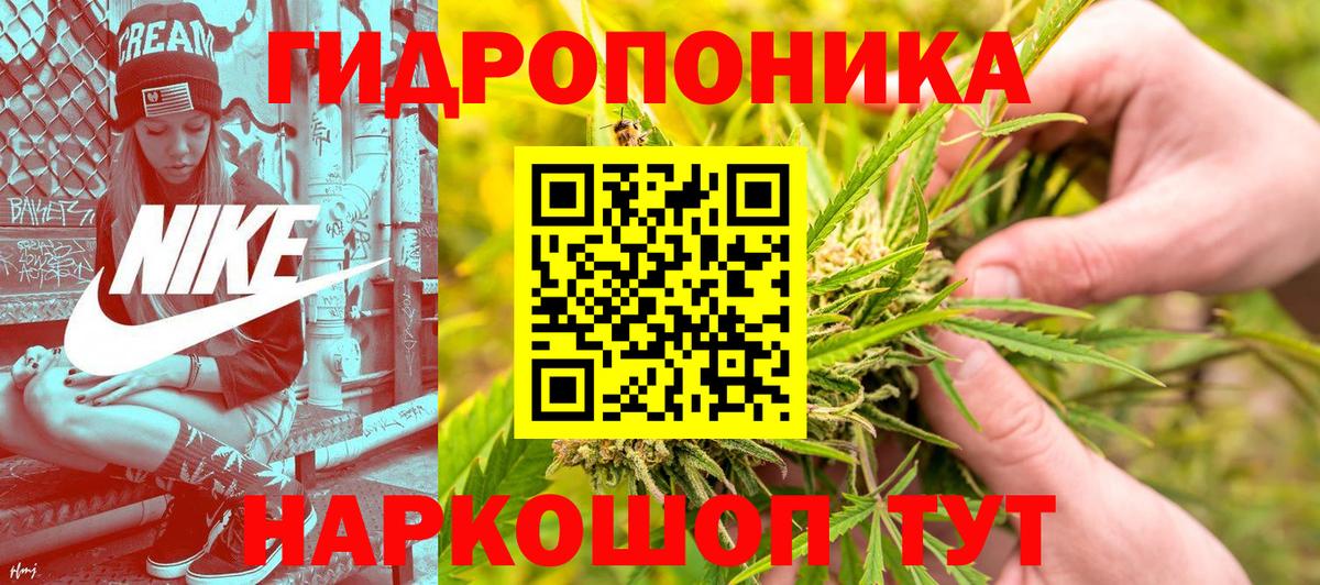 Конопля гибрид  Вход с VPN  Канабис ГИДРОПОН  Ковров 